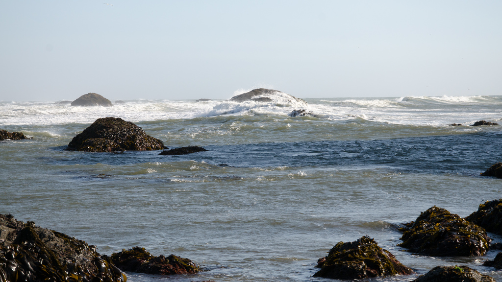 Surf