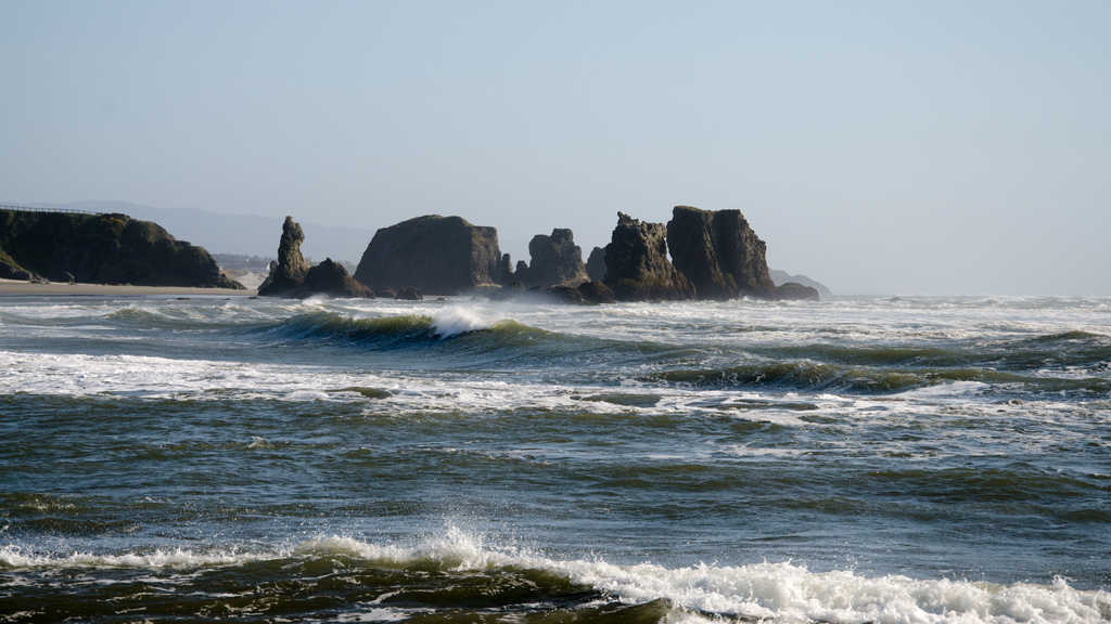 Surf