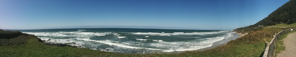 Surf