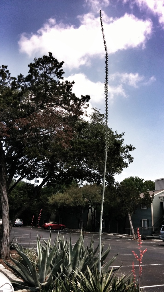 Up, up, UP, and...
