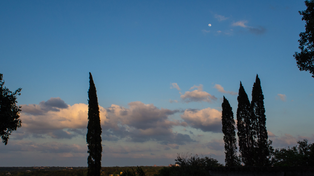 Moonrise