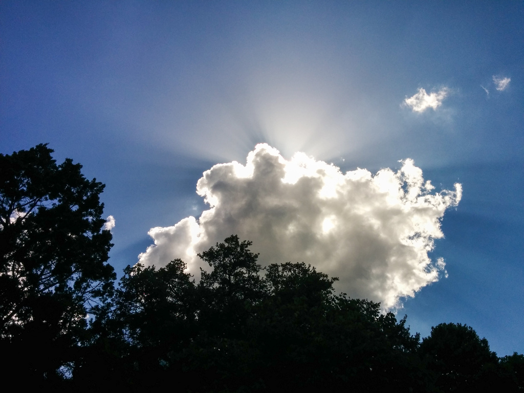 Sunny afternoon