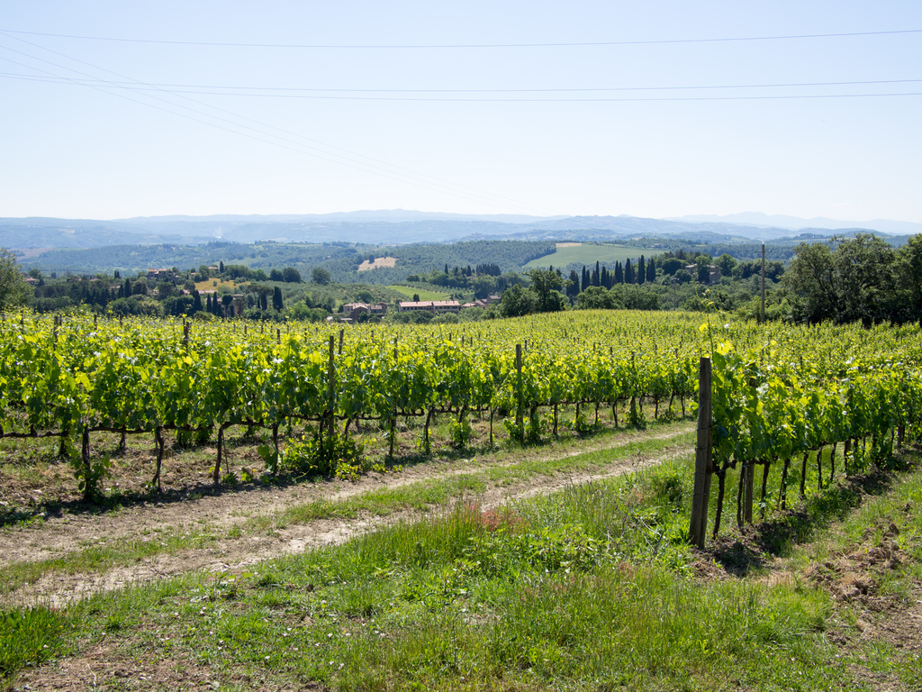 Castelrotto