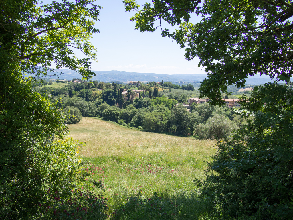 Castelrotto