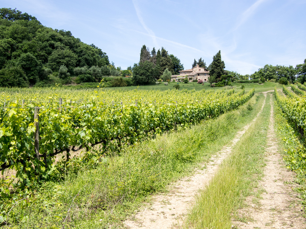 Castelrotto