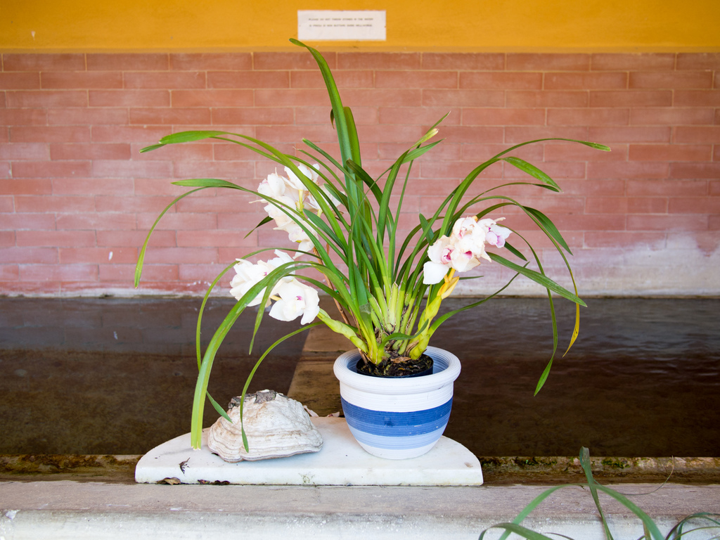 La Foce