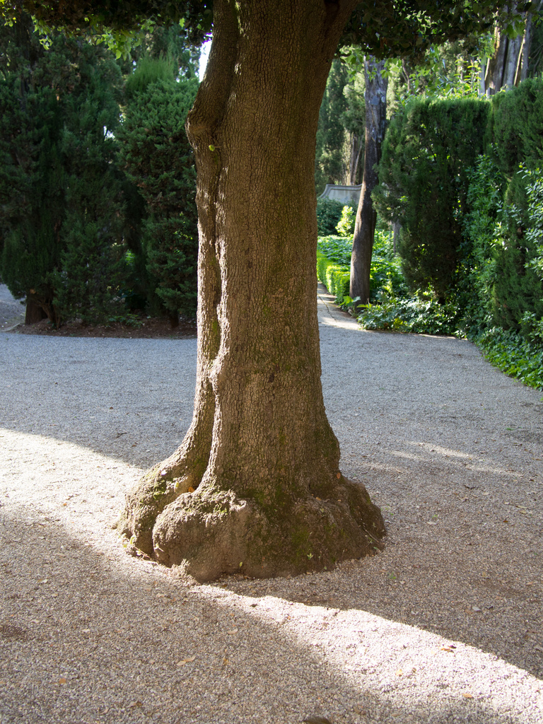 La Foce