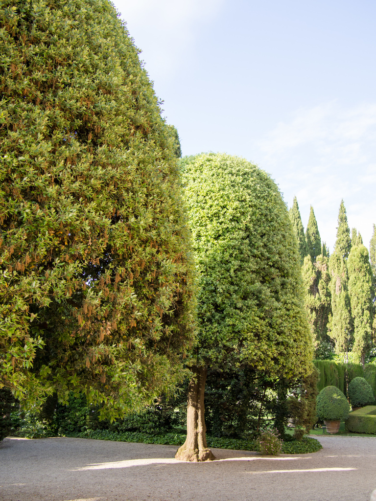 La Foce