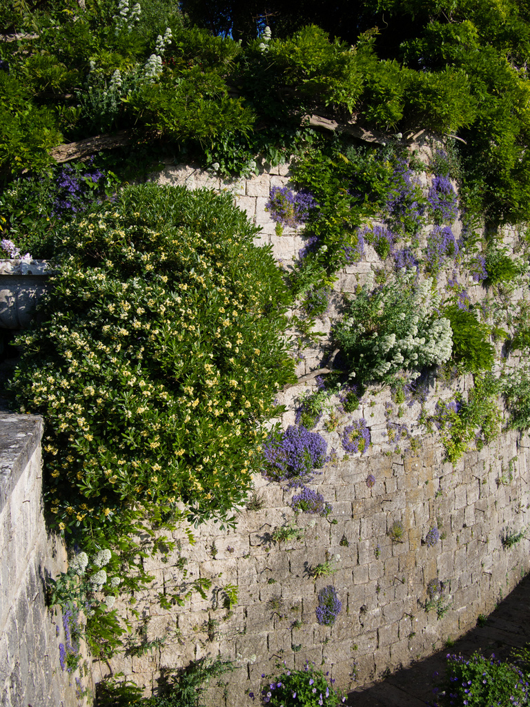 La Foce