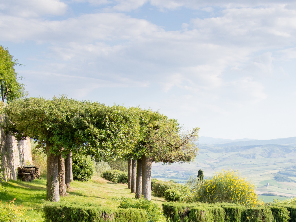 La Foce