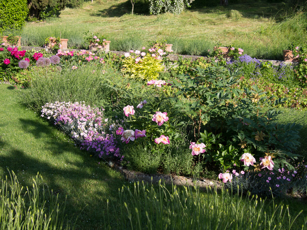 La Foce