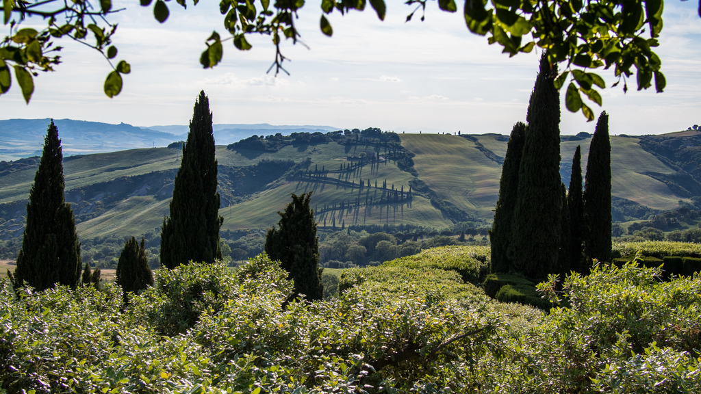 La Foce