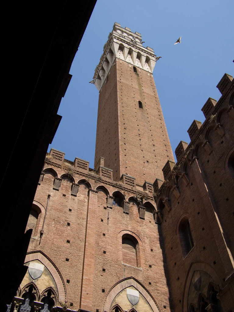 Sienna