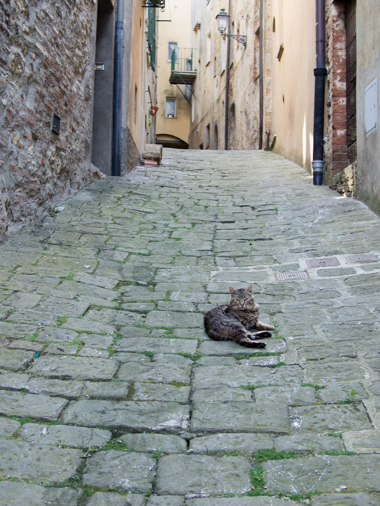 San Casciano dei Bagni San Casciano dei Bagni