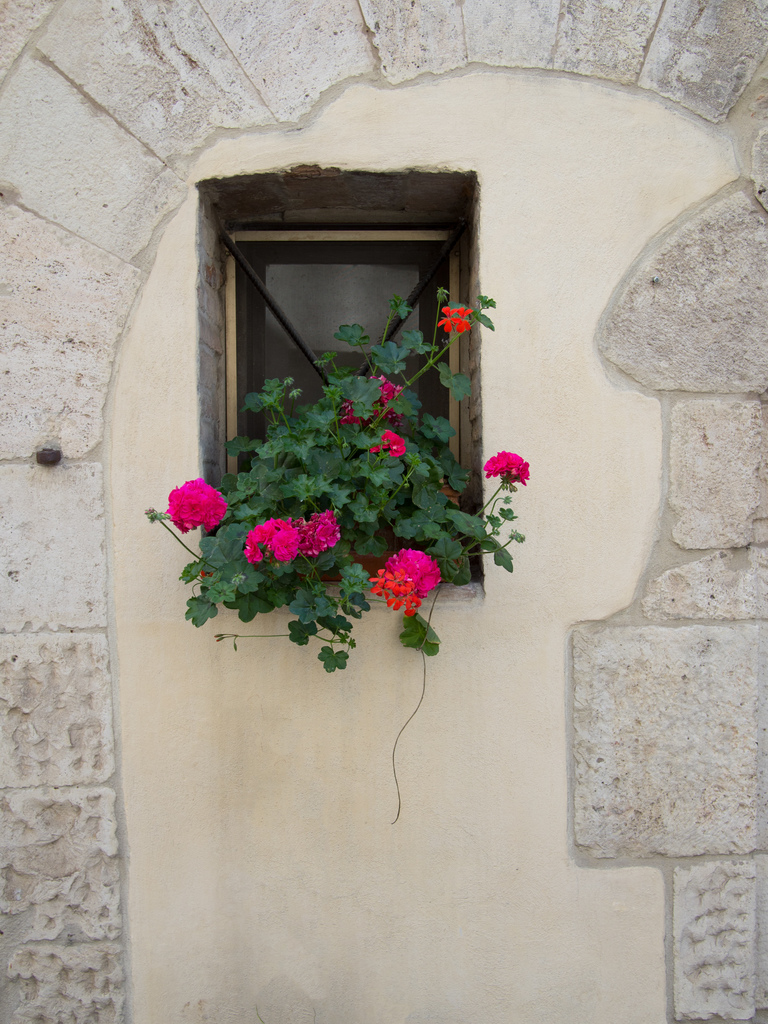 Flower box