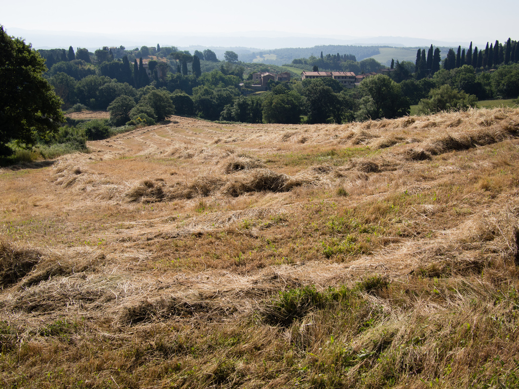 Castelrotto
