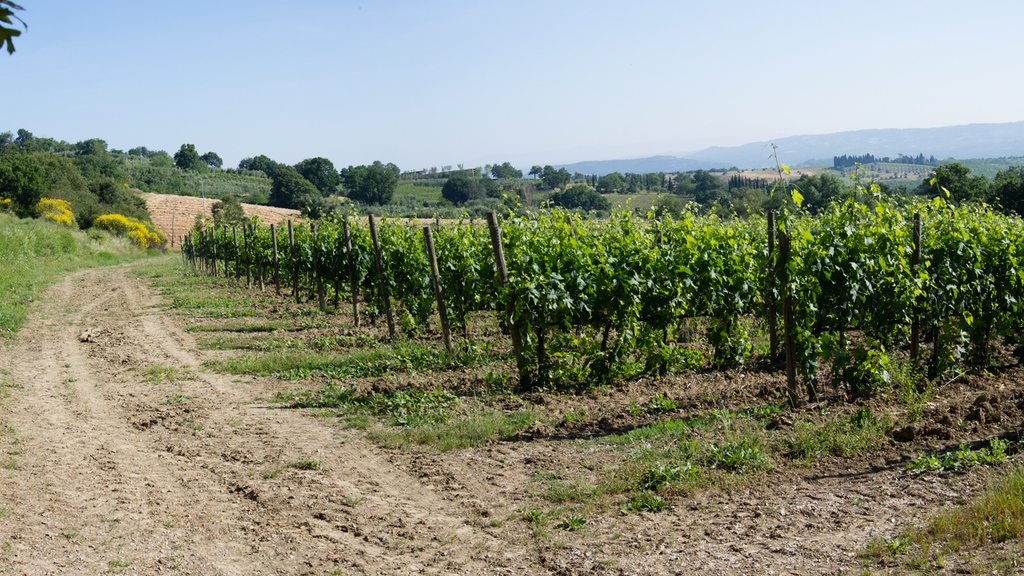 Castelrotto