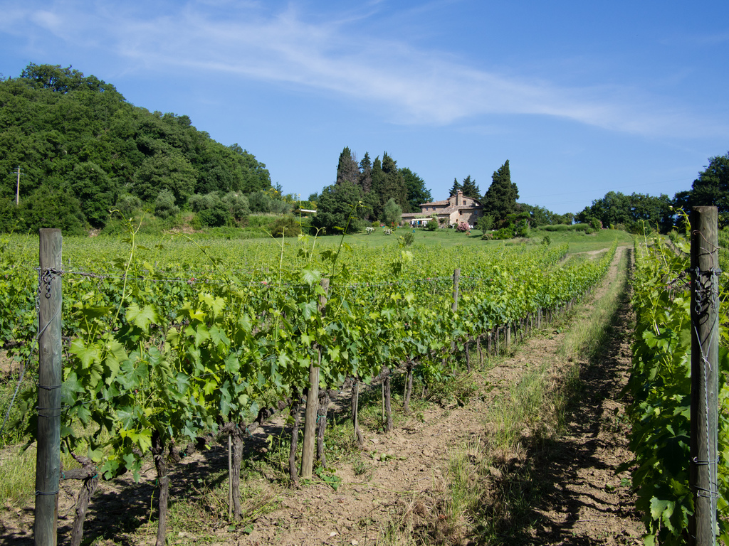 Castelrotto