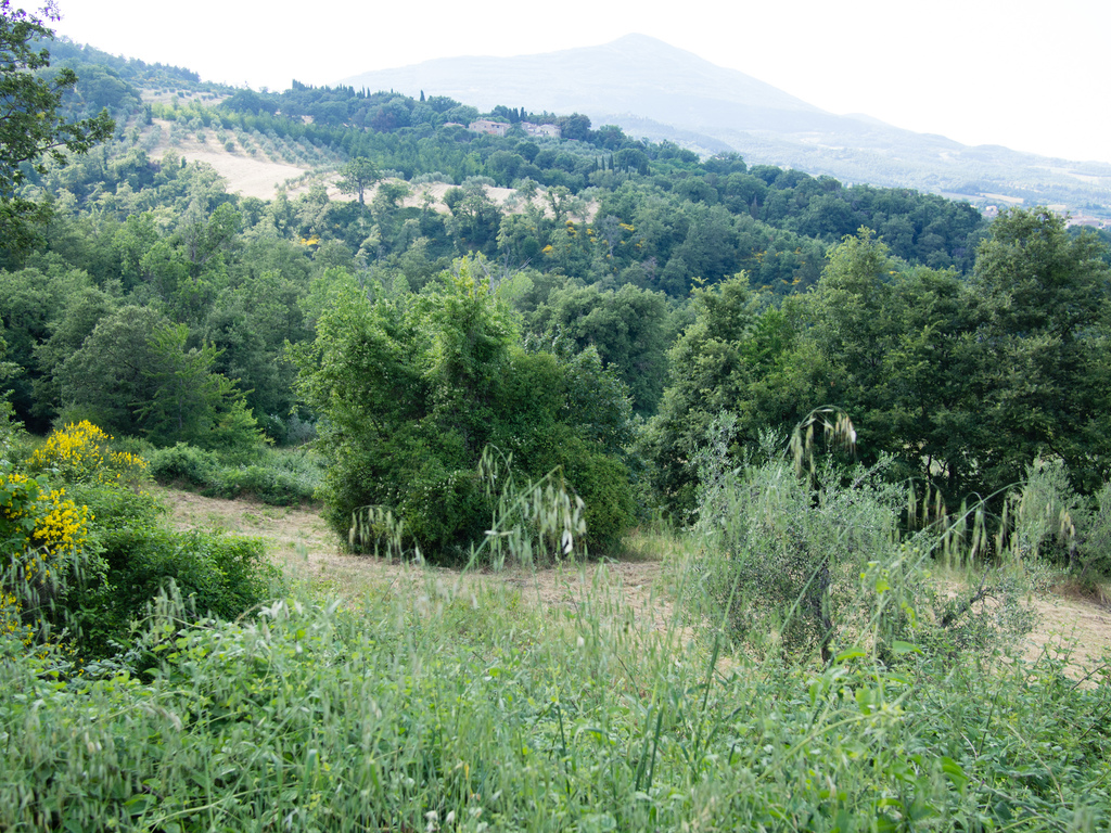 Castelrotto