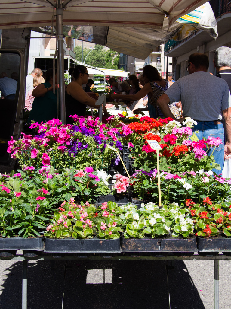 Chiusi market
