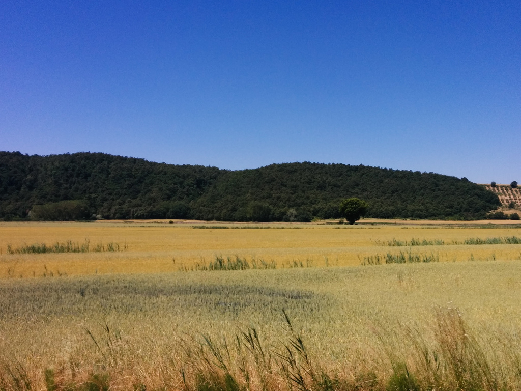 Chiusi