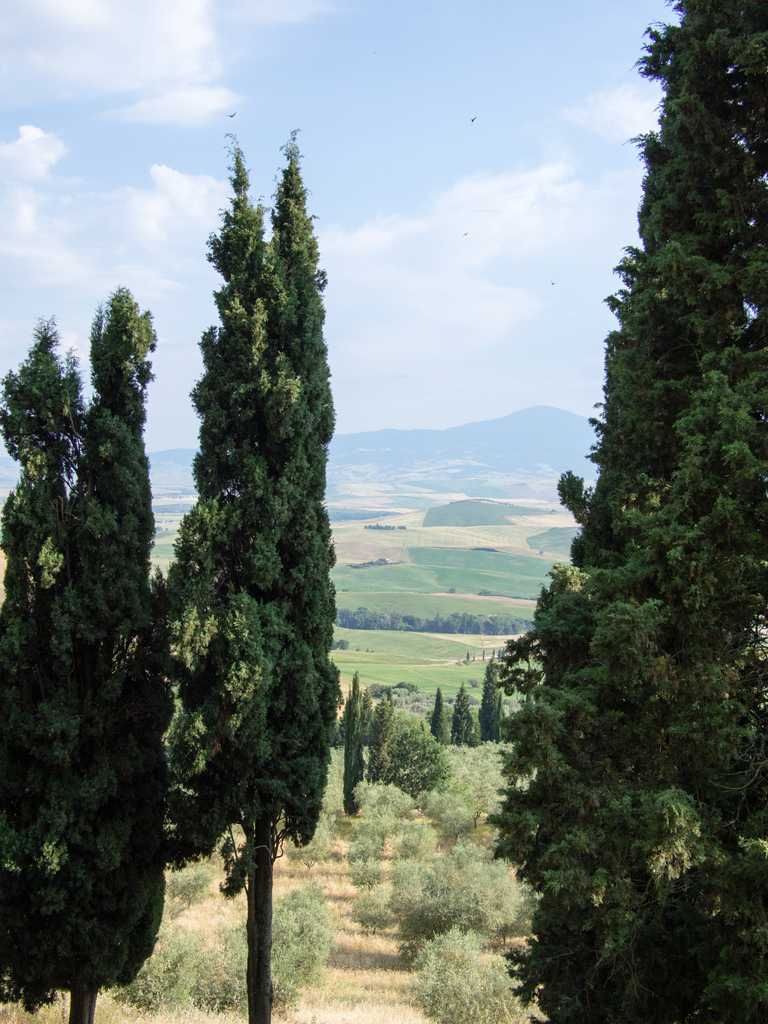Pienza