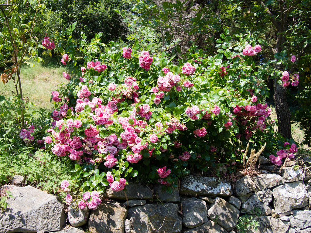 Castelrotto