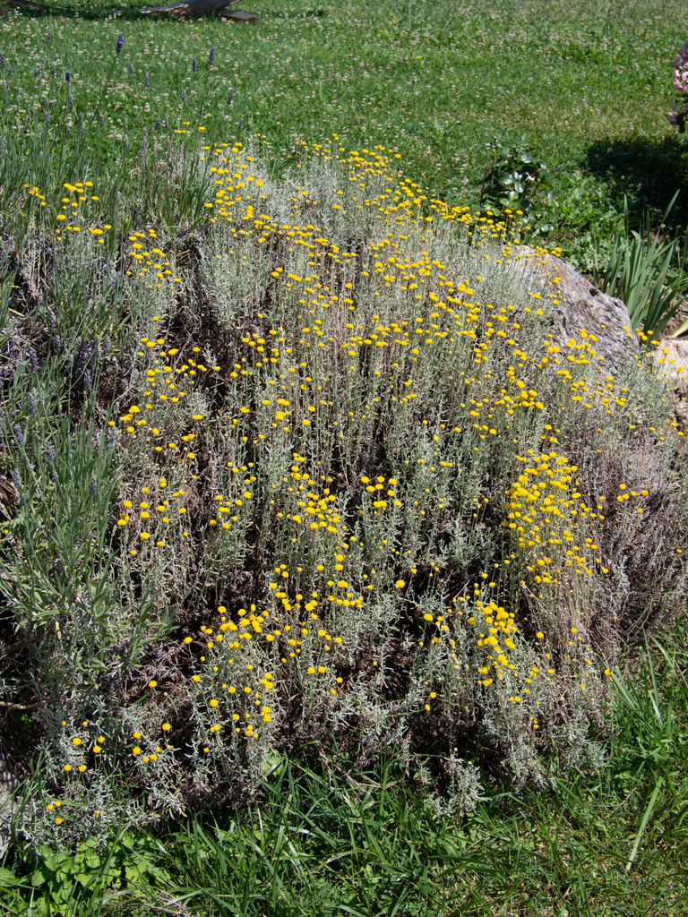 Castelrotto
