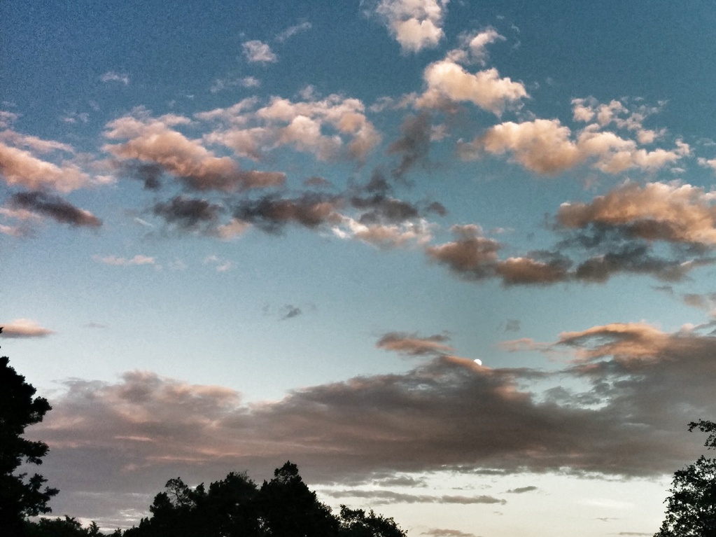 Moon and clouds