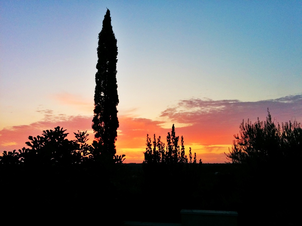 Sunrise