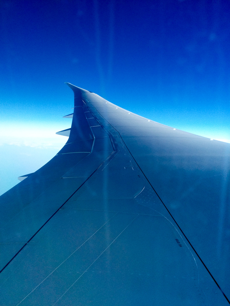 Wing