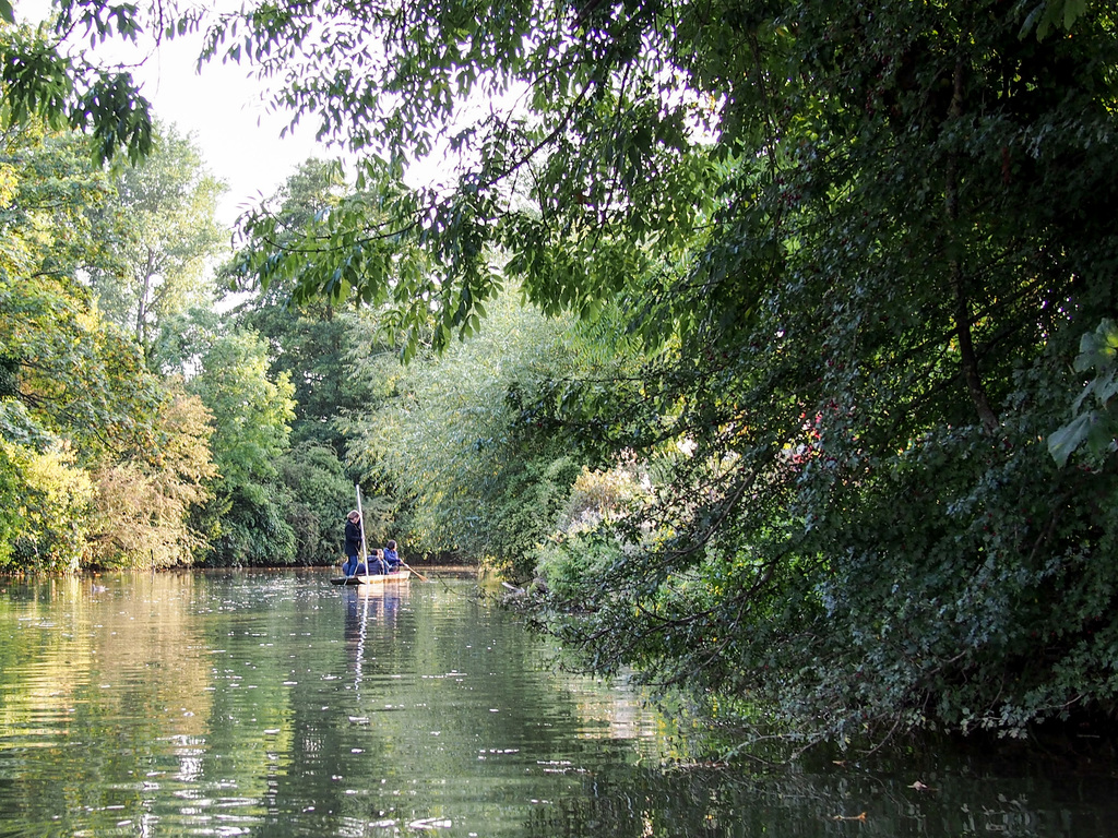 Punting