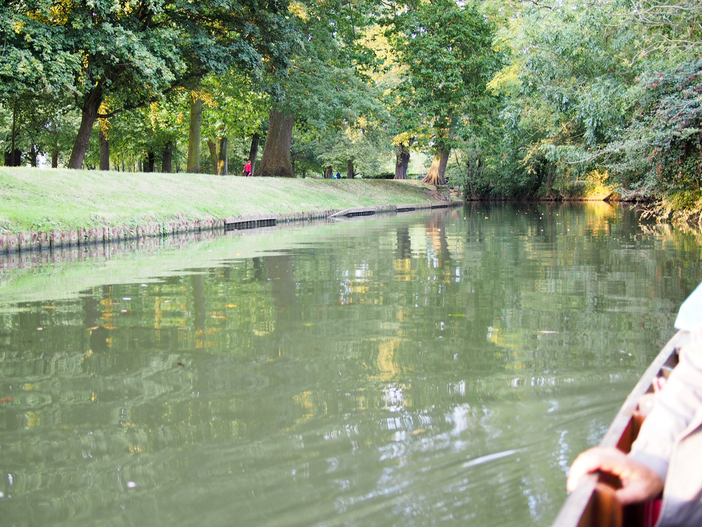 Punting
