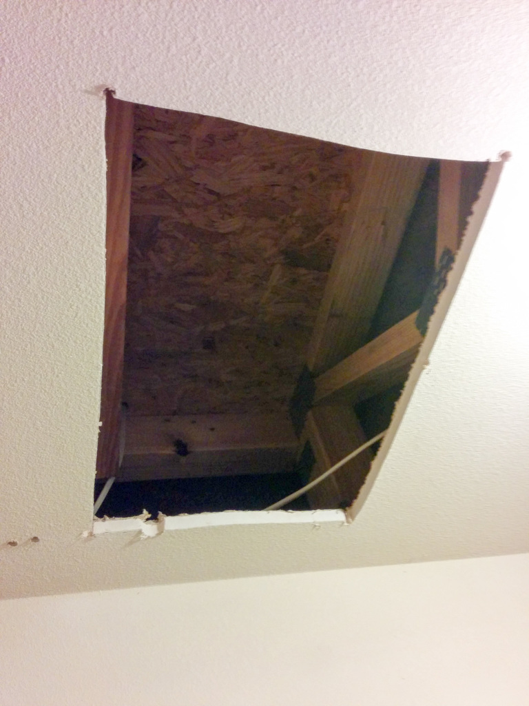 Ceiling access