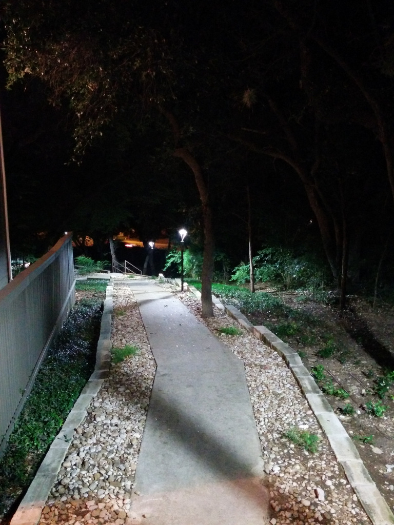 Nigt path