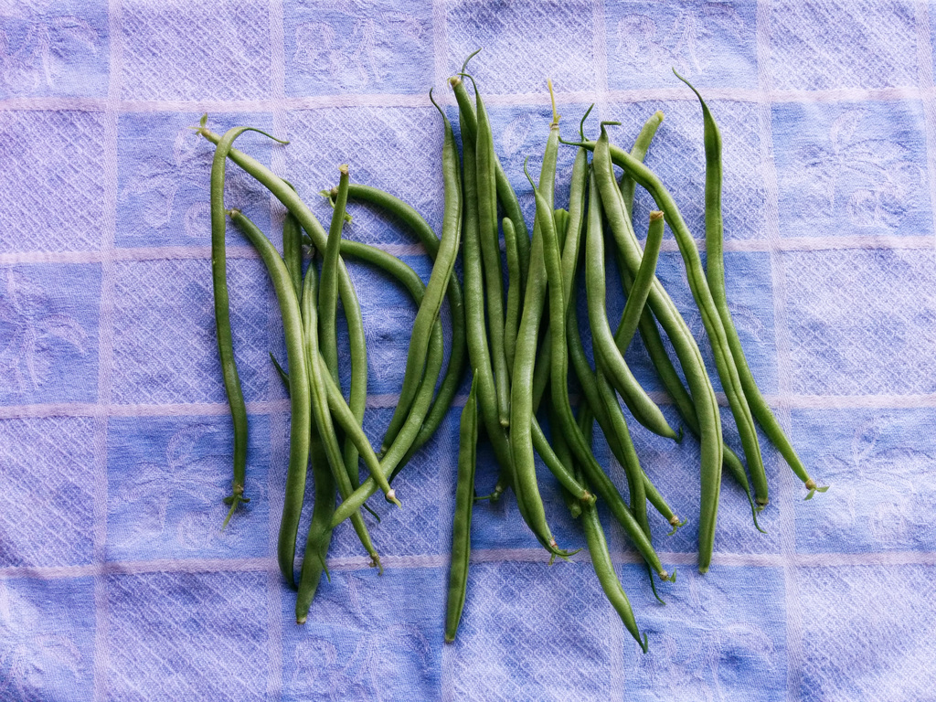 Garden fresh