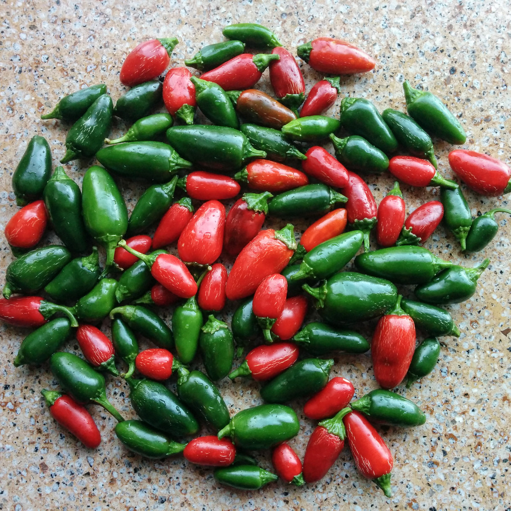 Jalepenos!