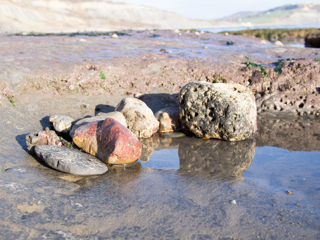 Jurrasic coast