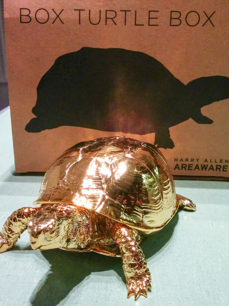 Box turtle box and box turtle box box