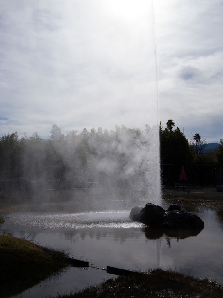 Old Faithful Geyser of California