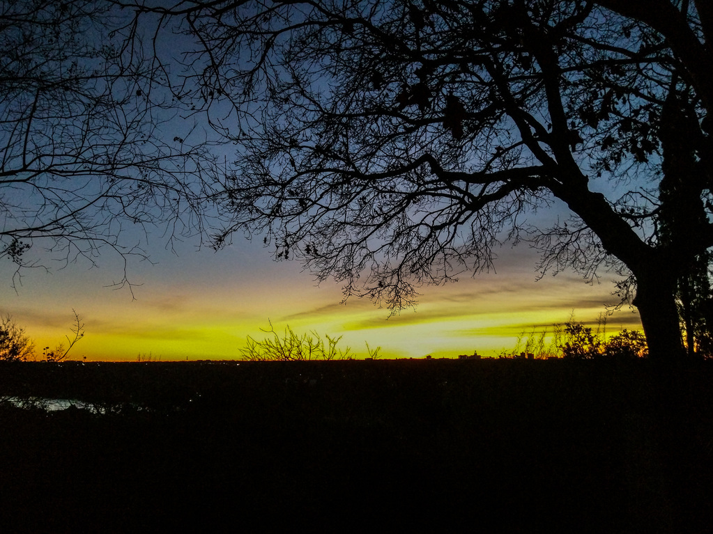 Sunrise yellow
