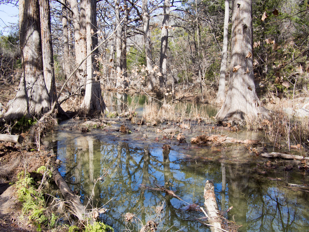 Hamilton Pools