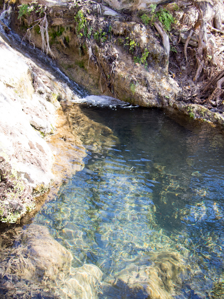 Perdenales spring