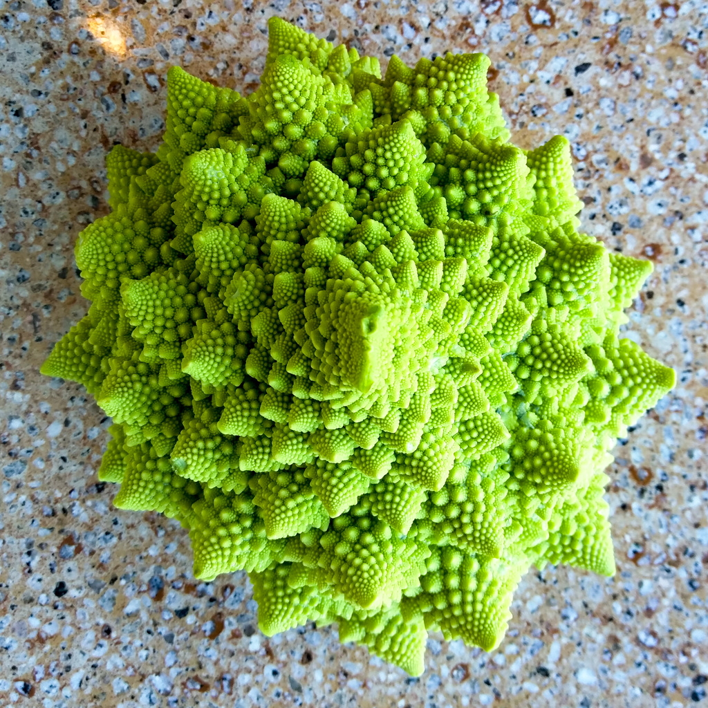 Romanesco broccoli