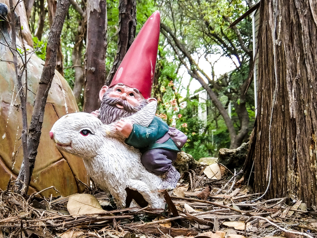 Bunnygnome