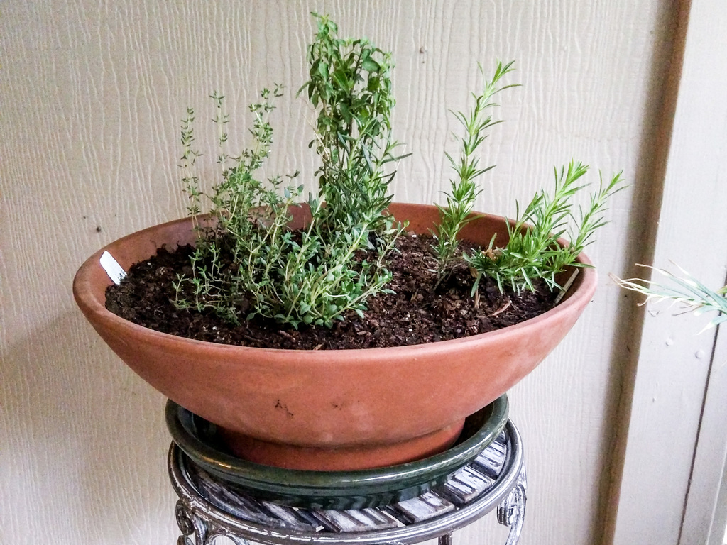 Planter