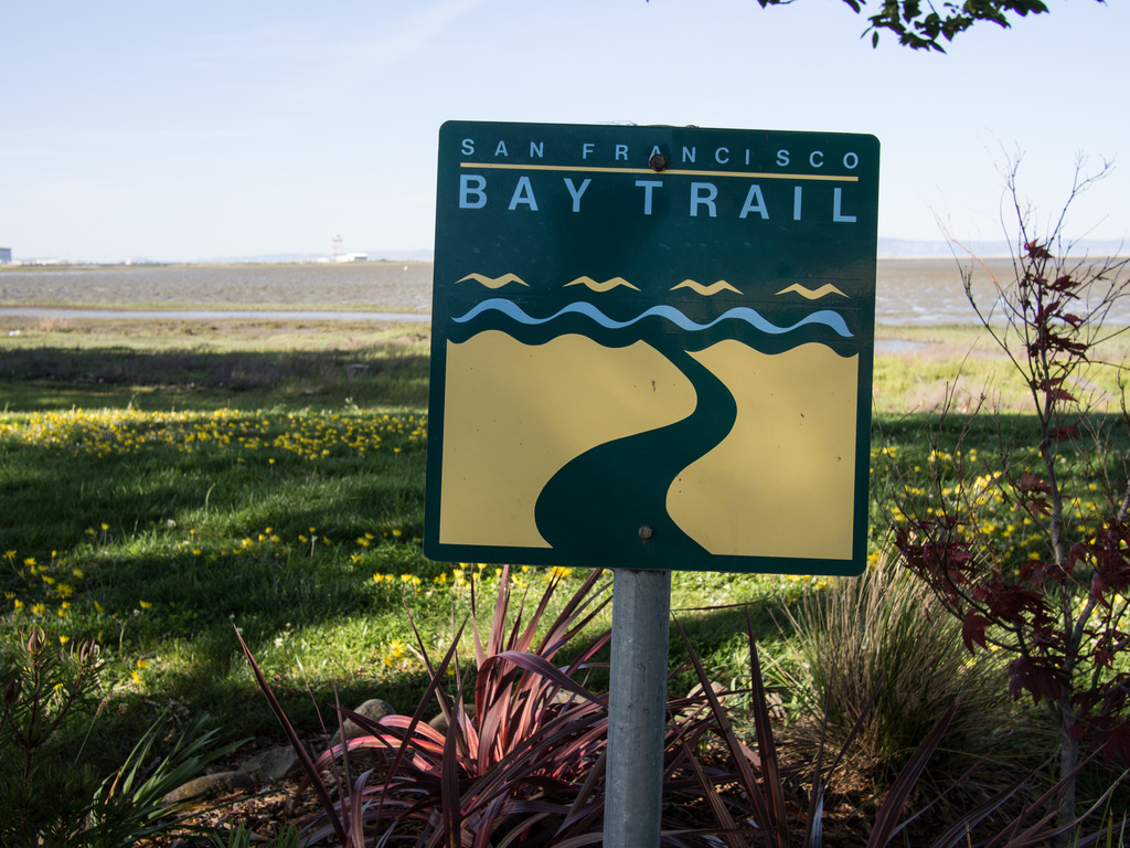 Bay Trail