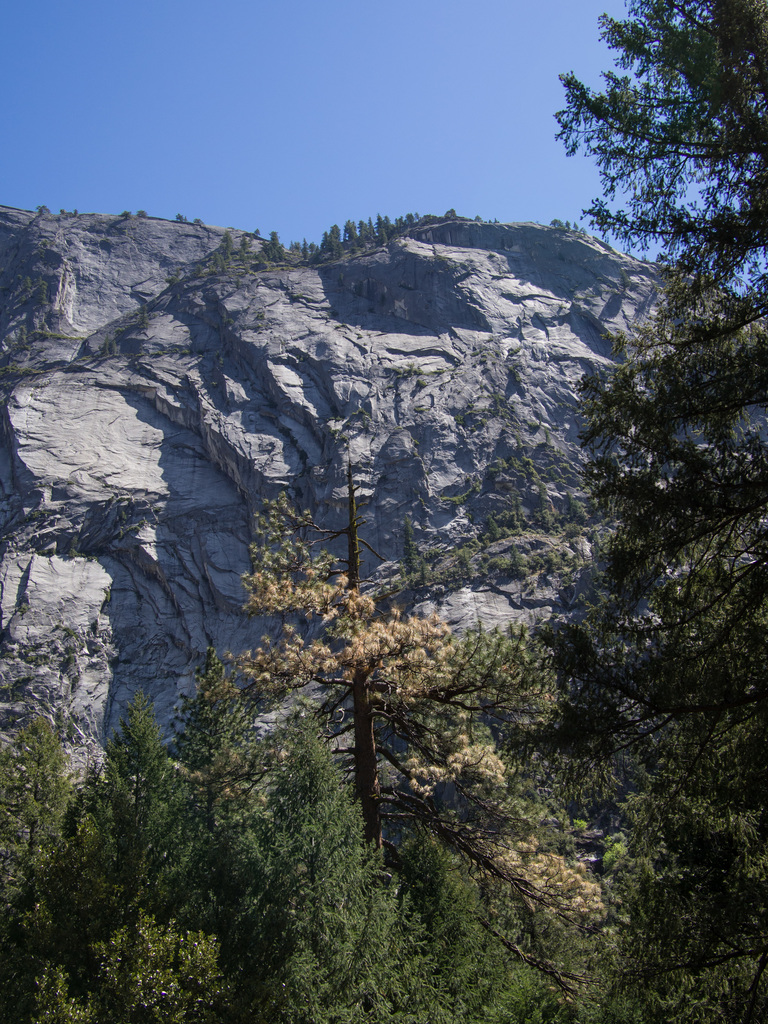 Yosemite