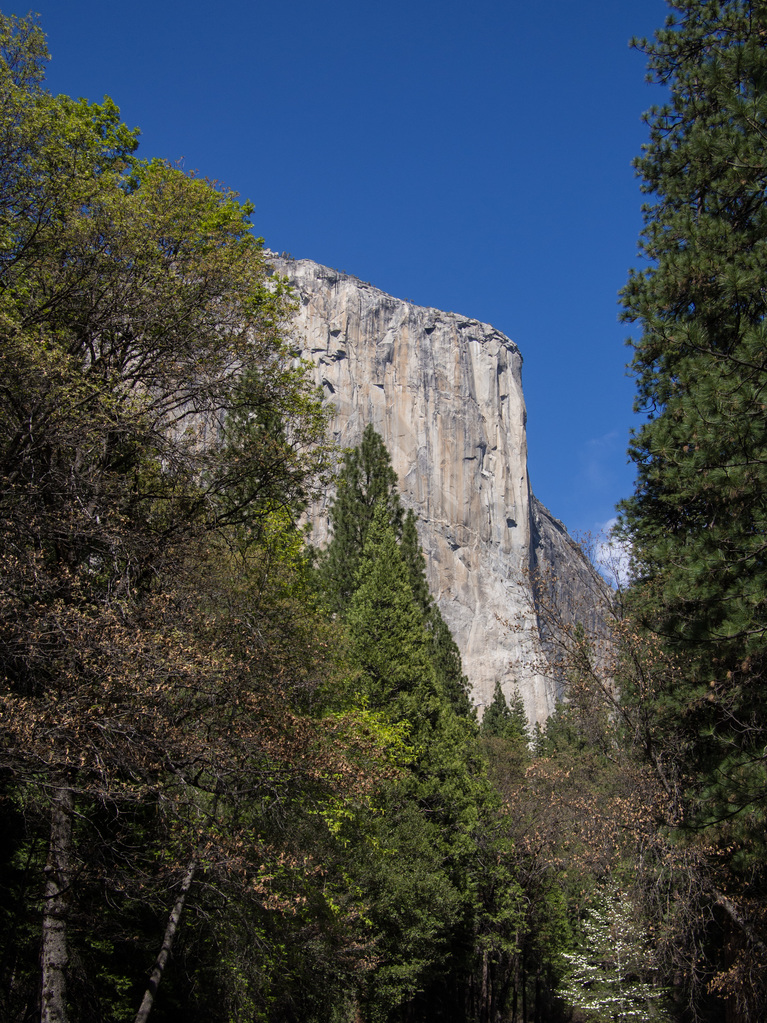 Yosemite Yosemite