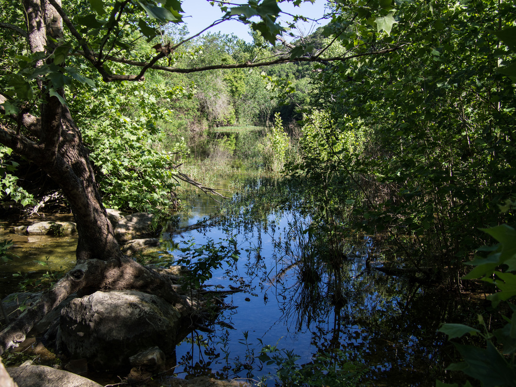 Barton Creek